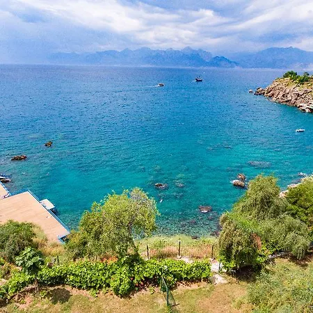 Szálloda Club Delfin Antalya